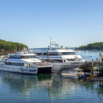 Harbour Boat Tours