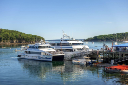 Harbour Boat Tours