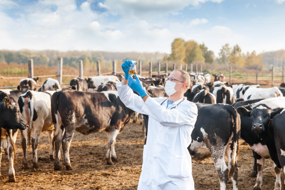 Veterinary Medicine Company in Manipur: Supporting Animal Health and Livestock Growth